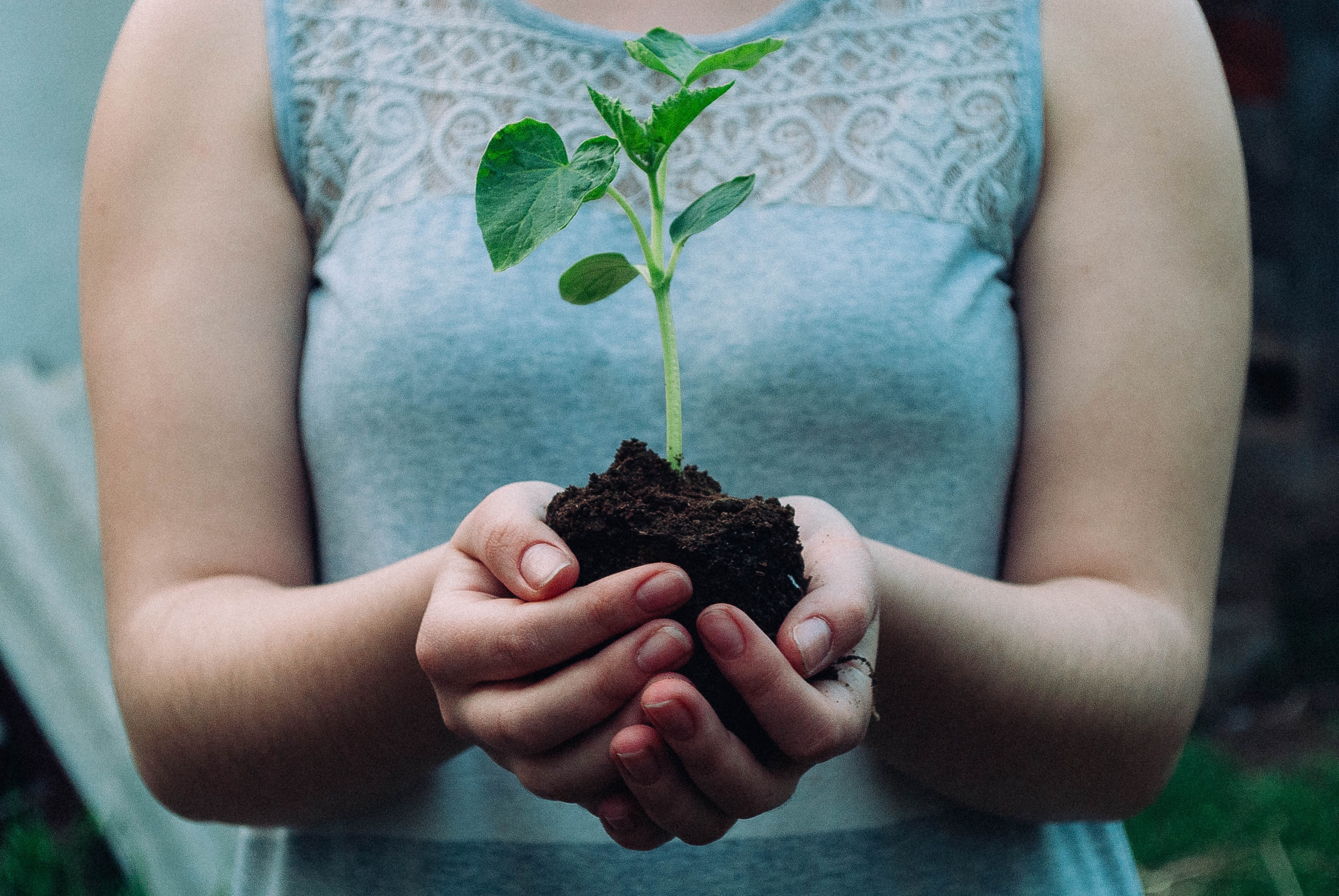 girl holding plant